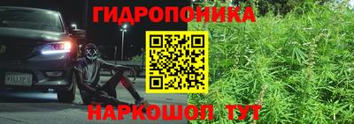 бошки Заводоуковск